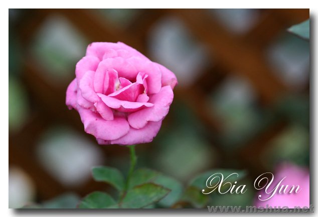 IMG_2399 ����.jpg