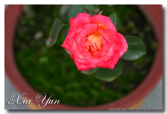 IMG_2400 ����.jpg