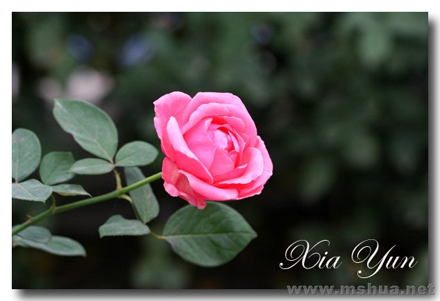 IMG_2395 ����.jpg