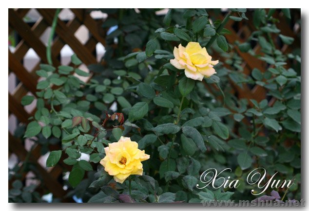 IMG_4687 ����.jpg