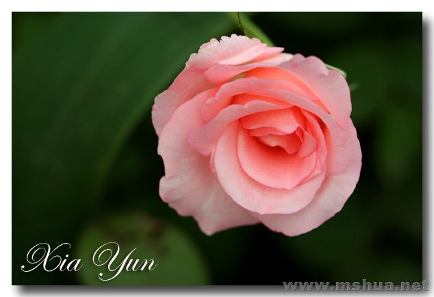 IMG_2417 ����.jpg