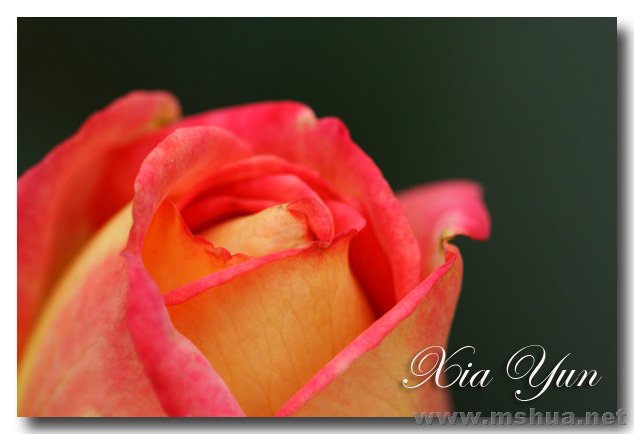 IMG_4690 ����.jpg