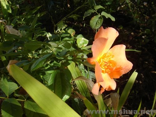 �������