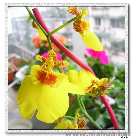 DSCN9830.jpg