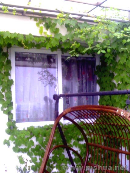 �ޱ���  10.jpg