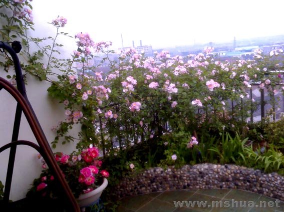 �ޱ���  3.jpg