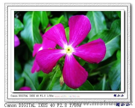 071031 (50)_nEO_IMG.jpg