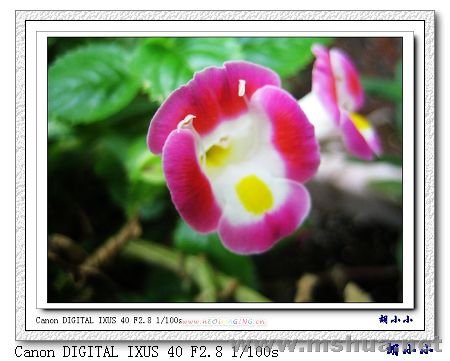 071031 (43)_nEO_IMG.jpg