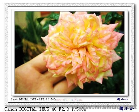 071031 (40)_nEO_IMG.jpg