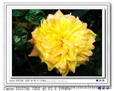 071031 (39)_nEO_IMG.jpg