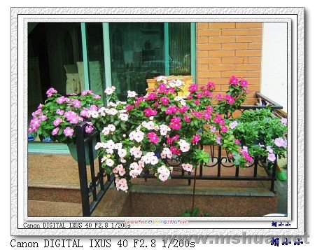 071031 (22)_nEO_IMG.jpg