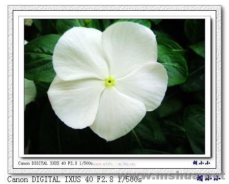 071031 (45)_nEO_IMG.jpg