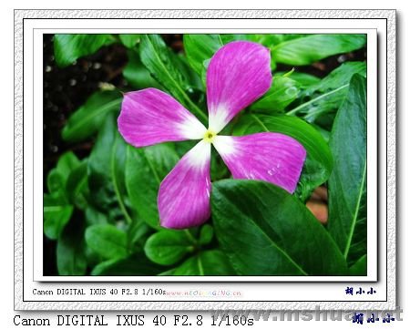 071031 (48)_nEO_IMG.jpg