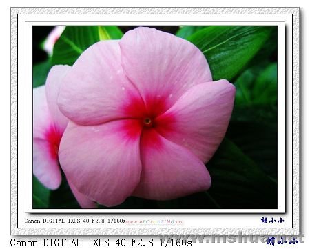 071031 (49)_nEO_IMG.jpg