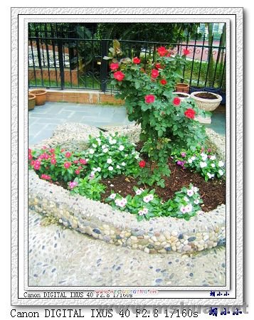 071031 (17)_nEO_IMG.jpg