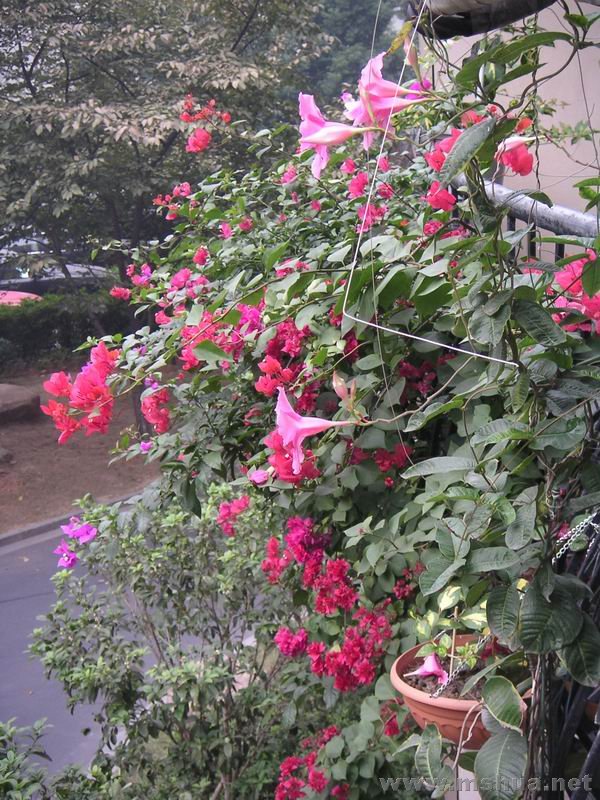 ������С ��̨710231��.jpg