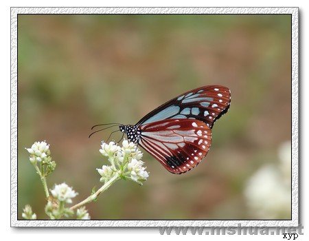 ��Ƭ aal 007(���ߵ�).jpg