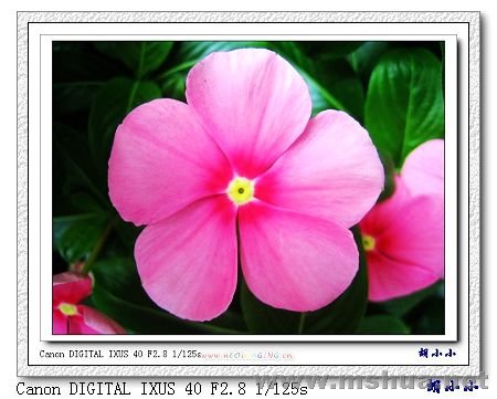 071031 (36)_nEO_IMG.jpg