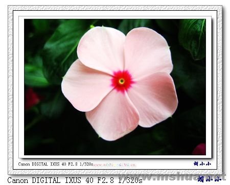 071031 (35)_nEO_IMG.jpg