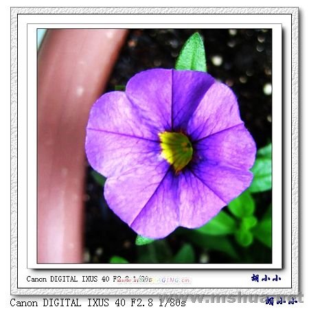 071031 (52)_nEO_IMG.jpg