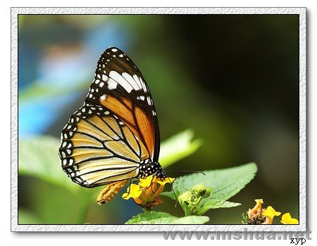 ��Ƭ acb 137(���ߵ�).jpg