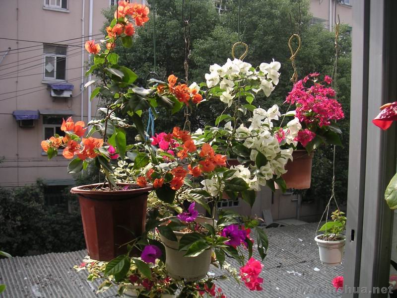 ������С ��̨710232ʯ.jpg