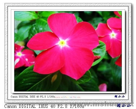 071031 (46)_nEO_IMG.jpg