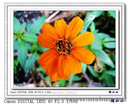 071031 (42)_nEO_IMG.jpg