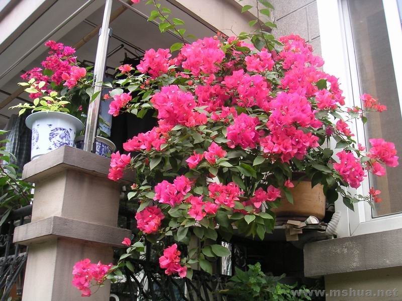 ������С �ھ�710232.jpg