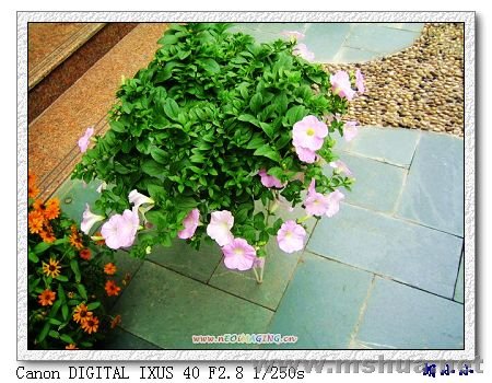 071031 (27)_nEO_IMG.jpg