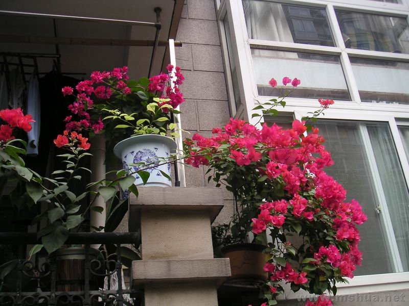 ������С �ھ�710233.jpg