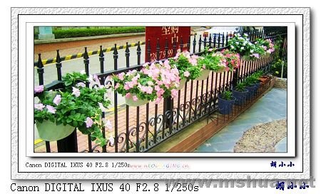 071031 (16)_nEO_IMG.jpg