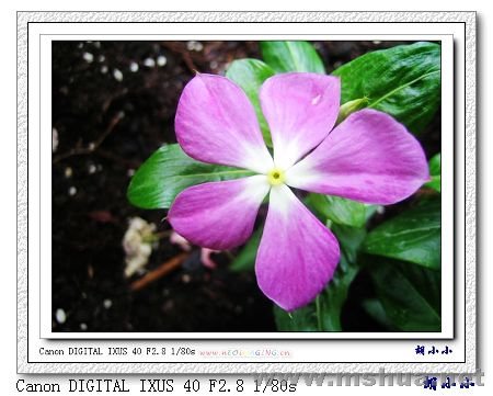 071031 (47)_nEO_IMG.jpg