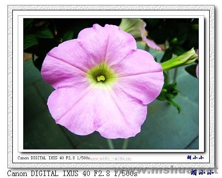 071031 (38)_nEO_IMG.jpg