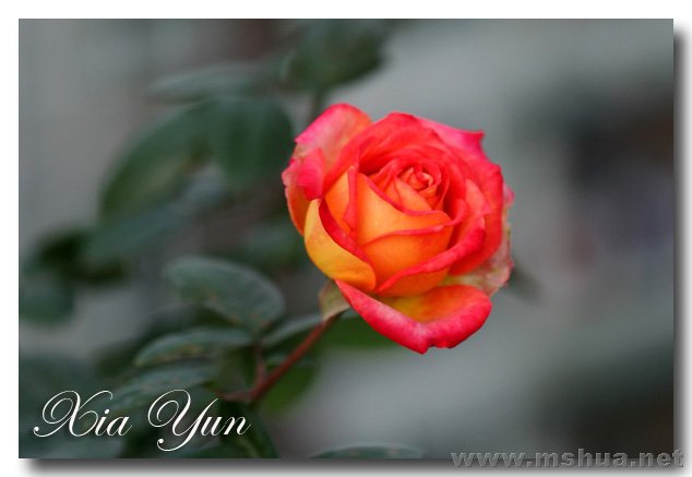 IMG_6219 ����.jpg