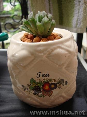 ��������û�ж�������˵��û��ϵ��ÿ���ٽ���ˮ������