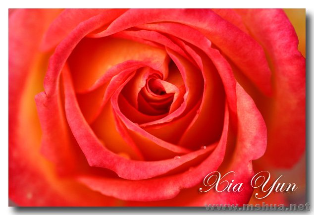 IMG_6224 ����.jpg