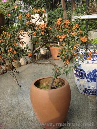 DSC03571.JPG