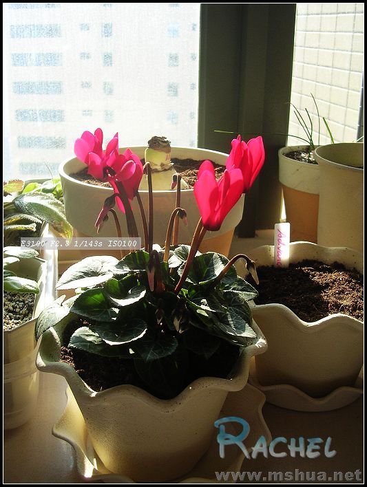 DSCN7822.JPG