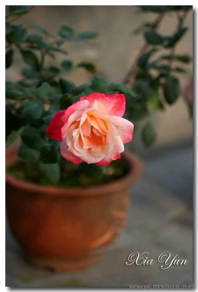 IMG_6216 ����.jpg