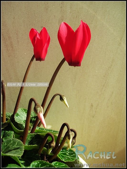 DSCN7839.JPG