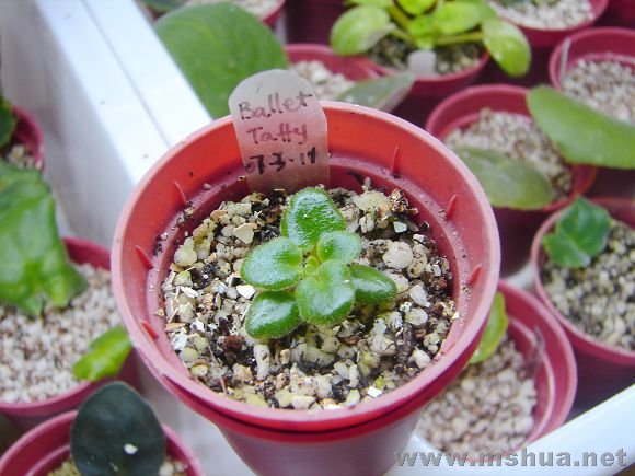 ����û�����ʱ����̫���ˣ��ձ��ҿ�ͷ