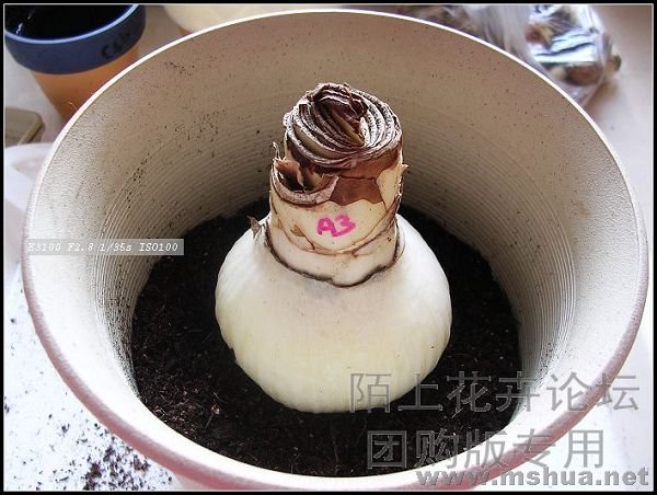 ���һ��������������ȥ