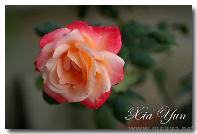 IMG_6213 ����.jpg