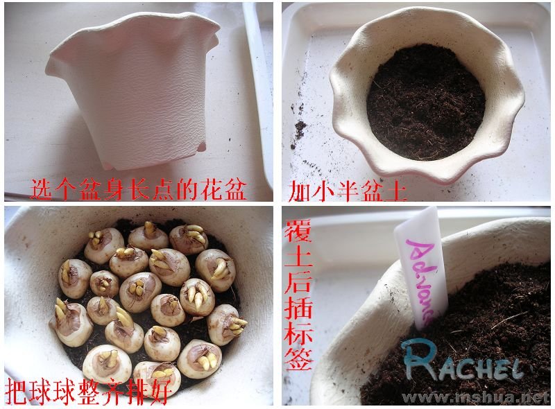 ����Ļ��ѱ�ѧ�ҹ�����