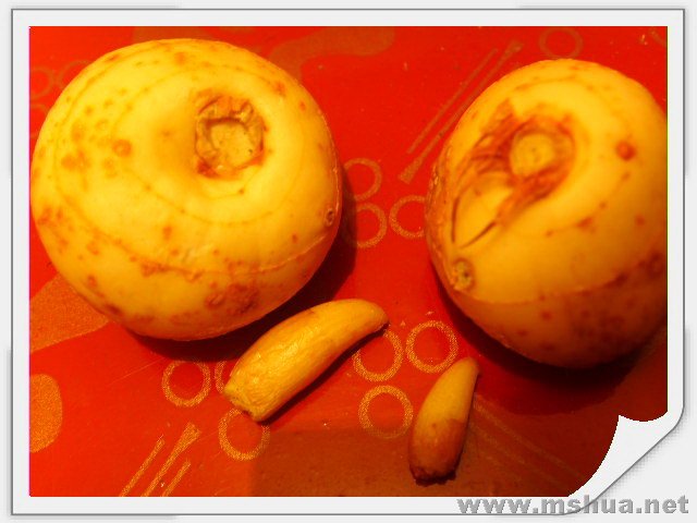 С����������ѿ