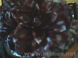 ���߲���