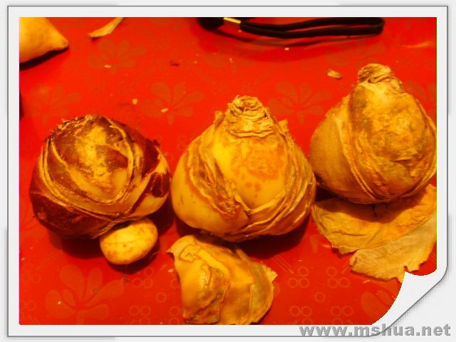 �������翪�ѣ�Ʒ�಻��