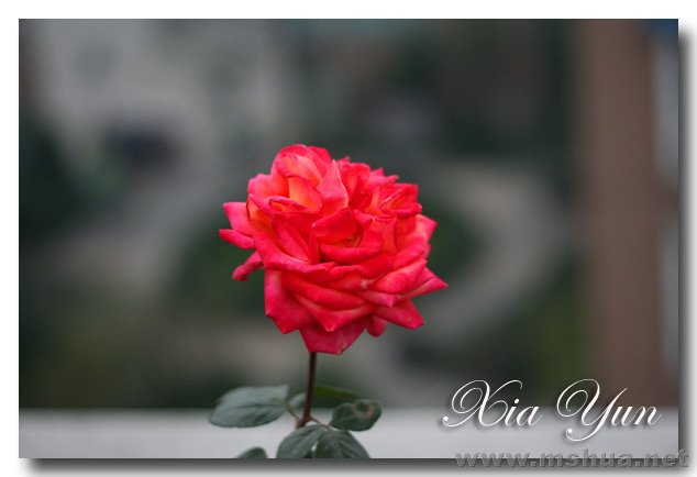 IMG_6244 ����.jpg