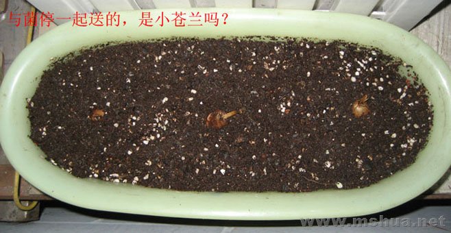006-С����.jpg